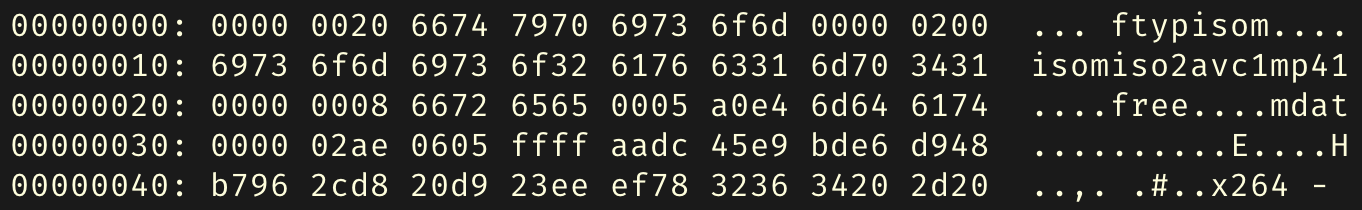 Image of MP4 xxd hexdump